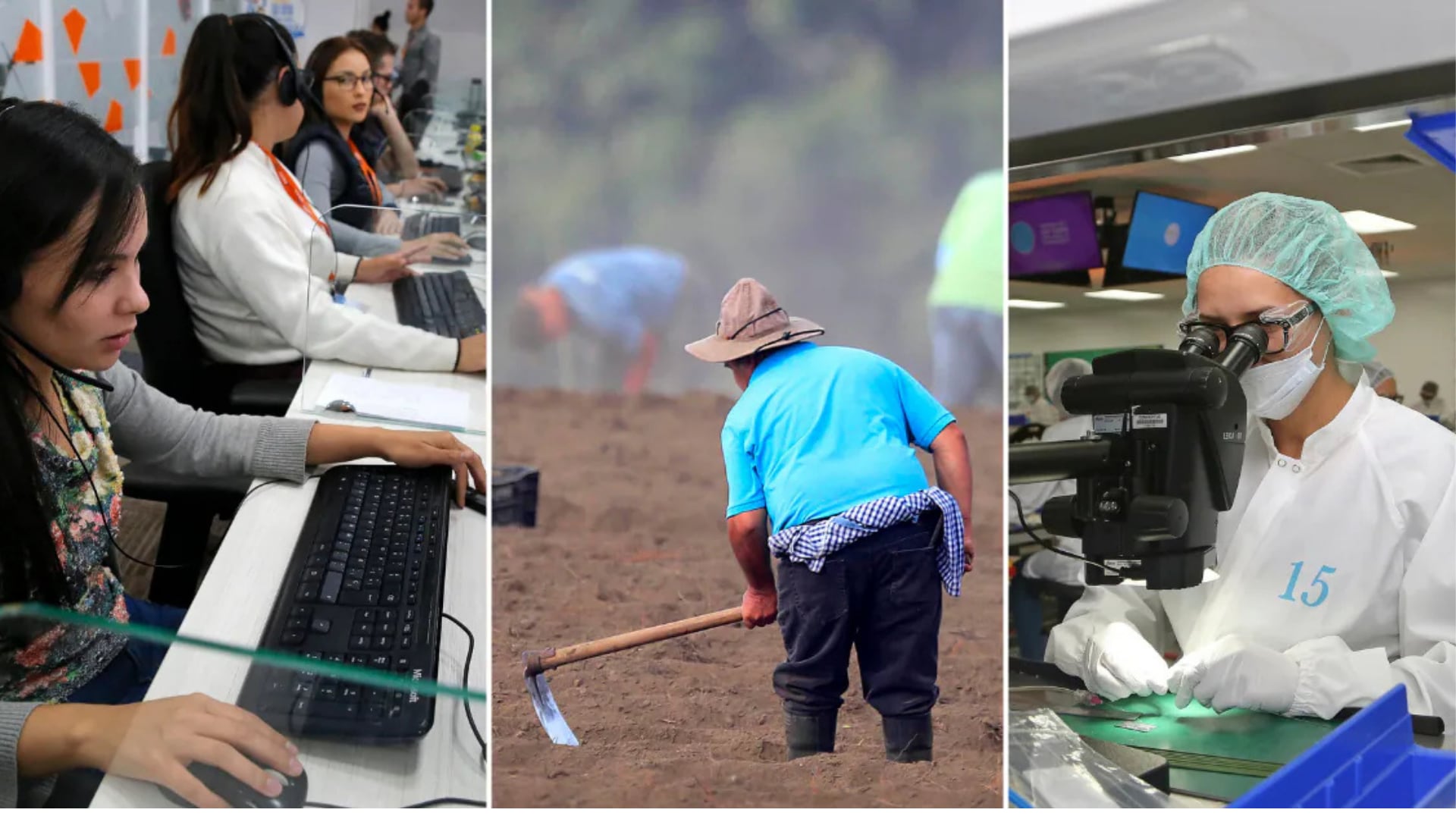 Diversos sectores productivos; empleo en Costa Rica, sector servicios, sector agro, dispositivos médicos, zonas francas