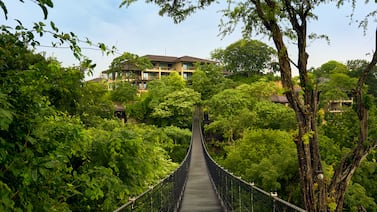Una noche en este hotel puede superar los $5.000: le contamos cómo es hospedarse en el exclusivo Nekajui, a Ritz-Carlton Reserve