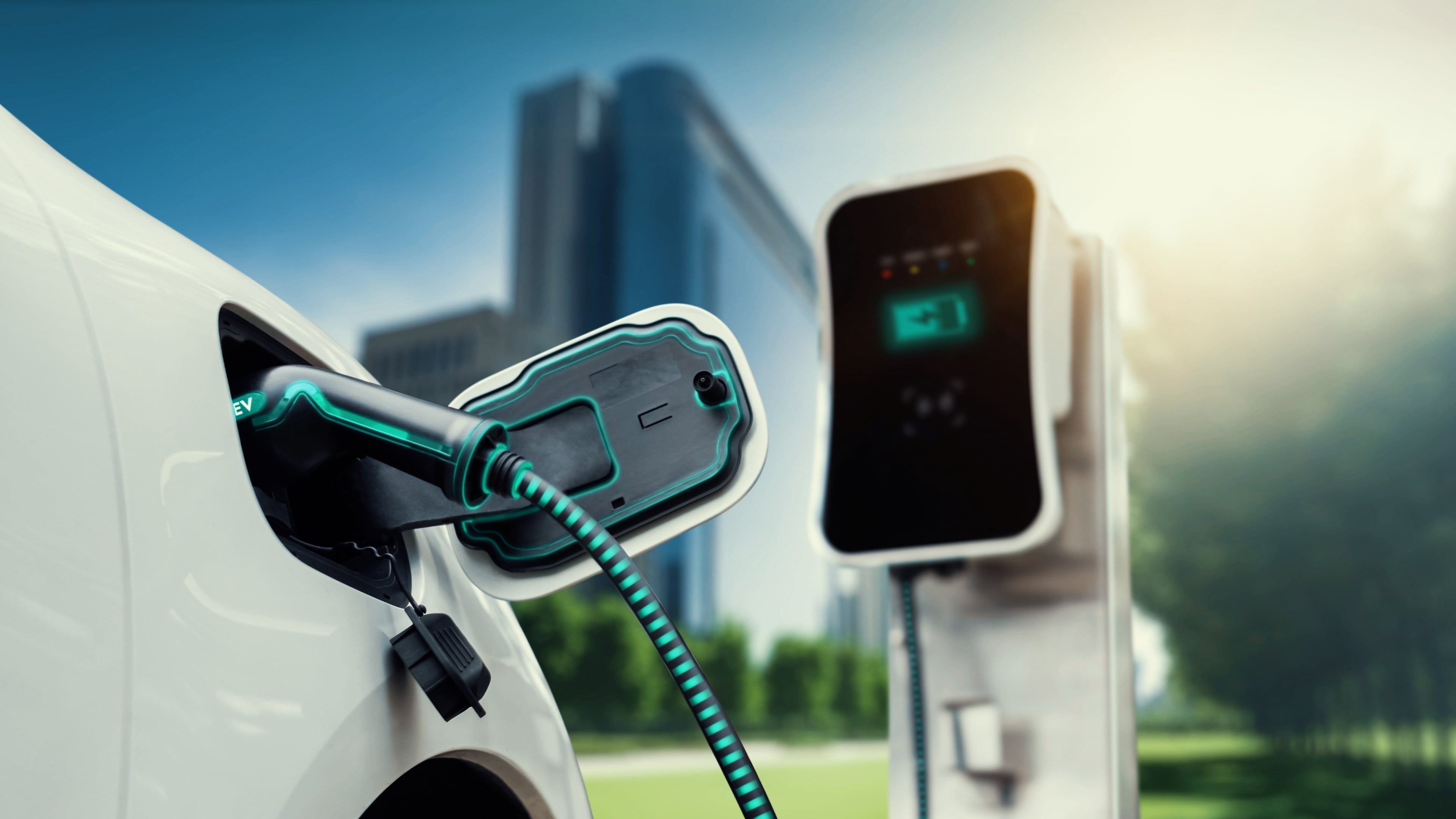 Cargadores de vehículos eléctricos