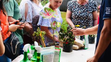 Las pymes y su papel en el desarrollo