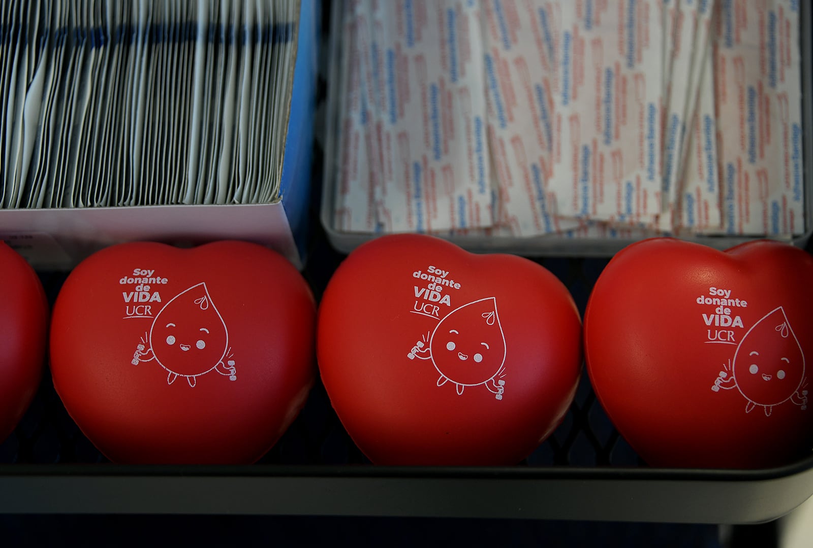 Donación sangre UCR