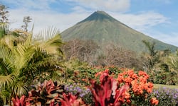 Canatur: Costa Rica pierde pulso en la carrera turística, crece un 1% mientras competidores regionales superan el 4%
