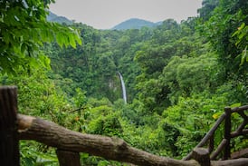 ¿Qué Costa Rica le muestra la IA a los turistas internacionales? Le pedimos a 4 herramientas que organizaran unas vacaciones y este fue su itinerario