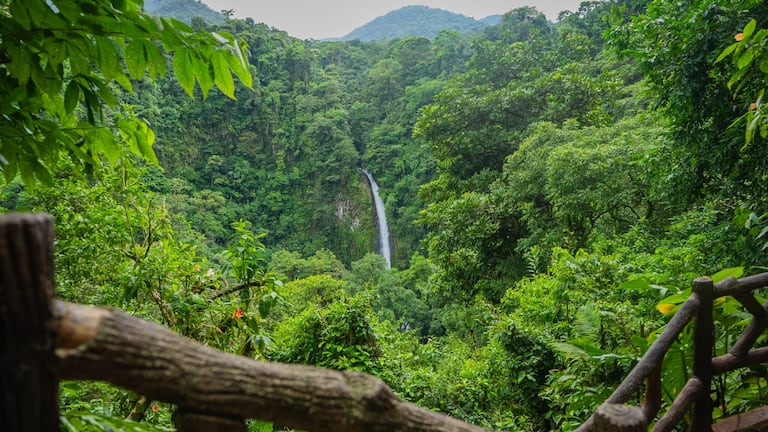 ¿Qué Costa Rica le muestra la IA a los turistas internacionales? Le pedimos a 4 herramientas que organizaran unas vacaciones y este fue su itinerario