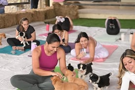 SoulFit Club: el espacio que mezcla deporte y cachorros para conectar a mujeres y apoyar emprendimientos