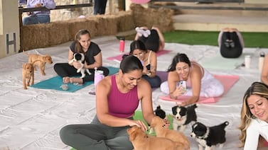 SoulFit Club: el espacio que mezcla deporte y cachorros para conectar a mujeres y apoyar emprendimientos