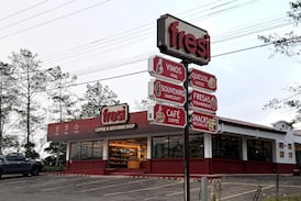 Una nueva marca refresca el tradicional comercio de fresas en el volcán Poás