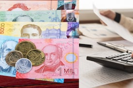 Nueva herramienta propone cómo reducir el costo de las cargas sociales a las empresas sin desfinanciar programas sociales