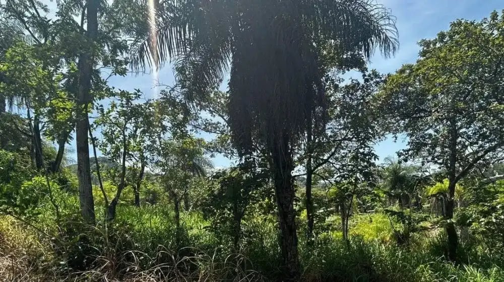 El lote presenta topografía irregular y está ubicado en Jesús de Atenas, específicamente en el lote 39 de Quebradas.