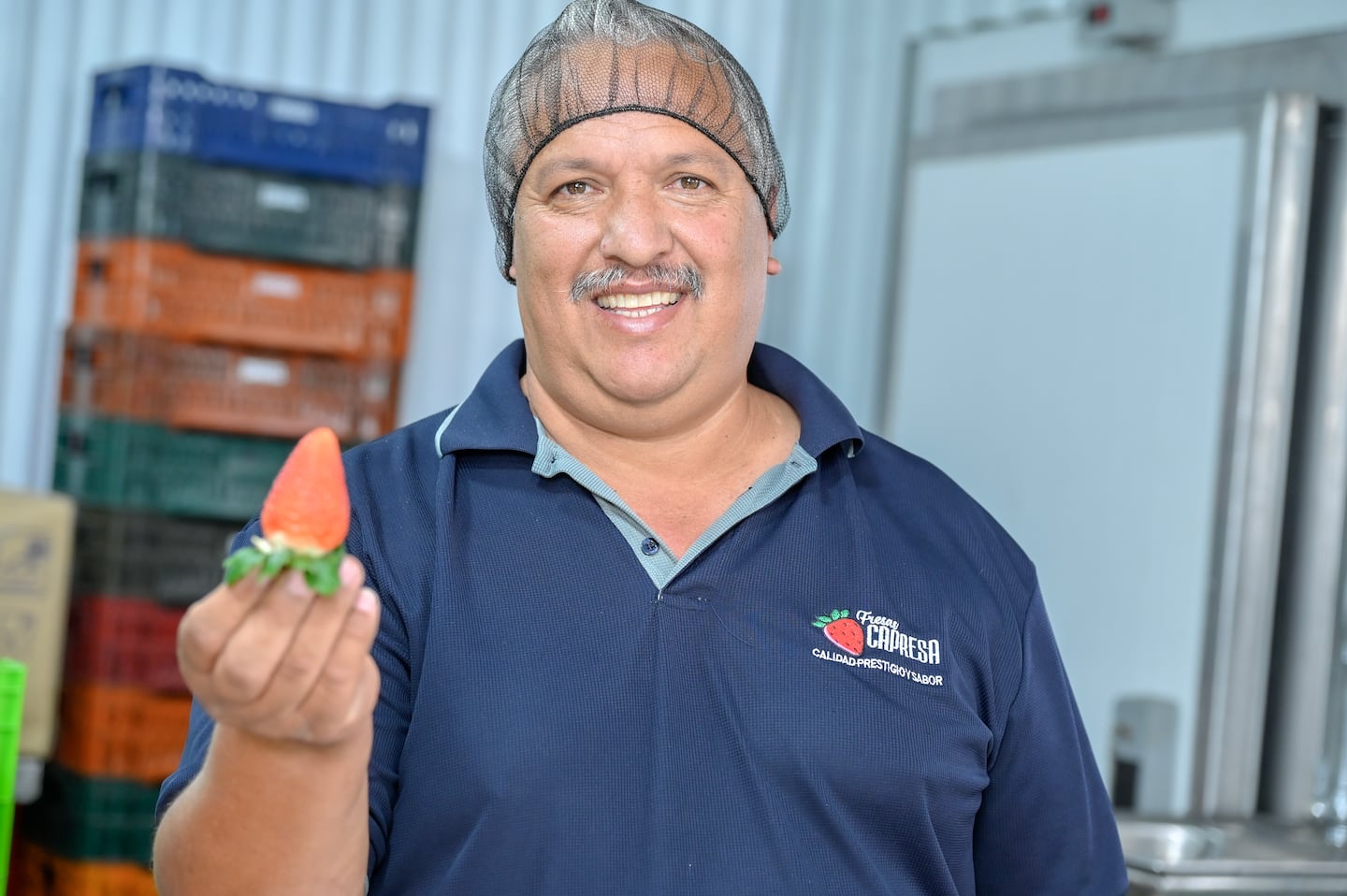 De peón agrícola a proveedor clave de Walmart: la estrategia que transformó a Fresas Capresa