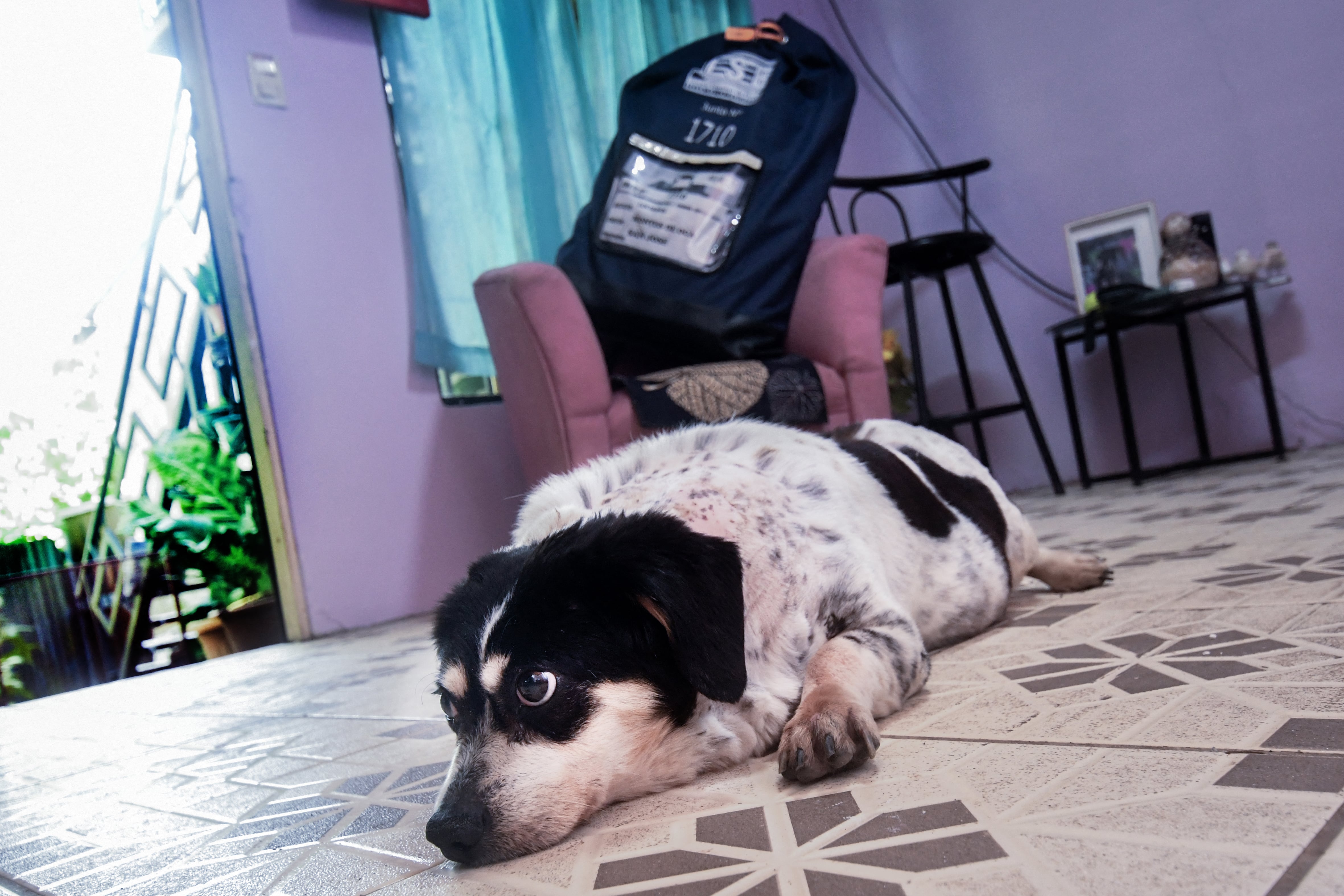 Elecciones Costa Rica 2026