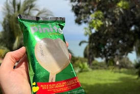 ¿Se va o se queda? Conozca la decisión oficial de Dos Pinos sobre la paleta Pinito