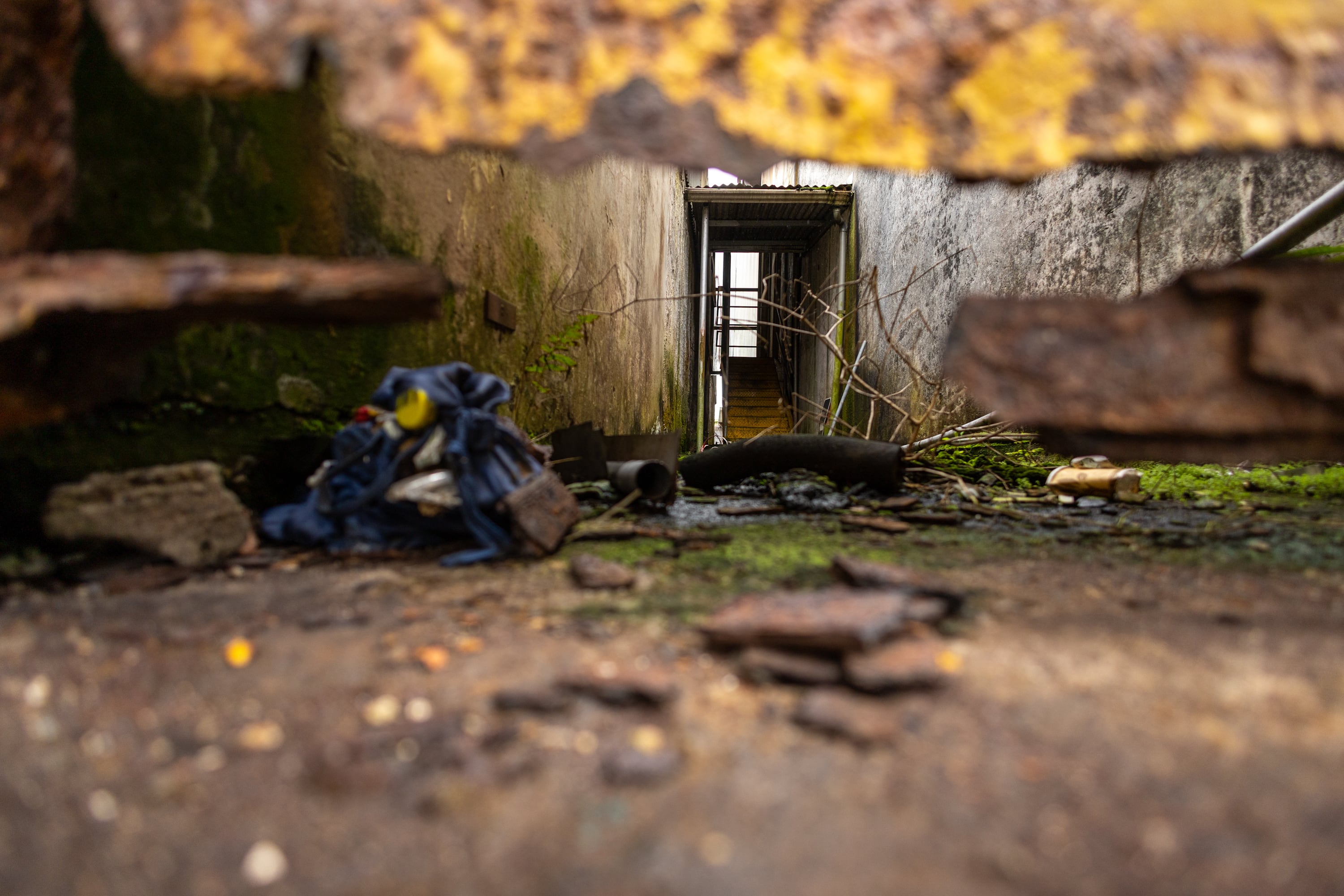 14/11/2024, Cartago, fotografías del Gimnasio del Colegio de San Luis Gonzaga, para poder observar el deterioro en el que está el edificio abandonado.