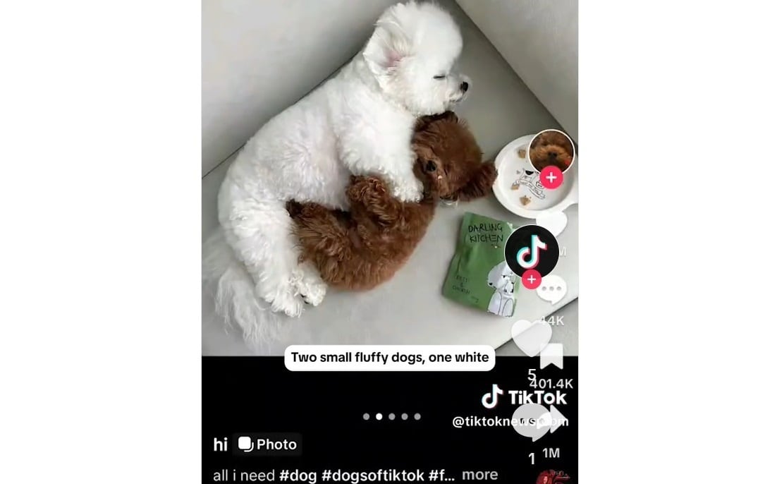 Imagen con texto alternativo (descripción) generado por IA