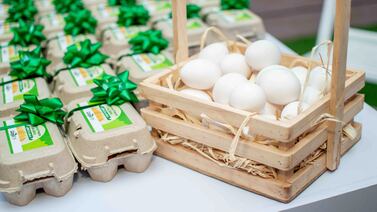 Cargill: proveedor #1 de huevos libres de jaula para los restaurantes McDonald´s de Costa Rica