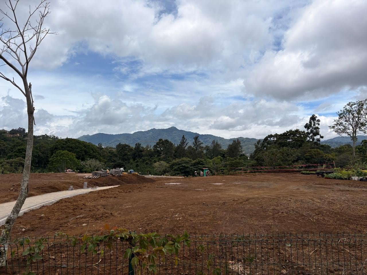 Bosque Tacaco