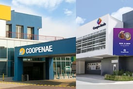 ¿Qué pasará con el capital social y los créditos después de la fusión entre Coopenae y CoopeAnde? Esto dicen los gerentes de las cooperativas