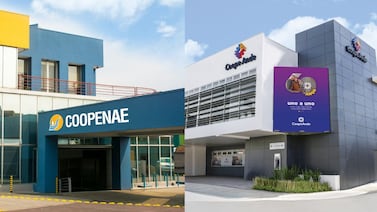 ¿Qué pasará con el capital social y los créditos después de la fusión entre Coopenae y CoopeAnde? Esto dicen los gerentes de las cooperativas