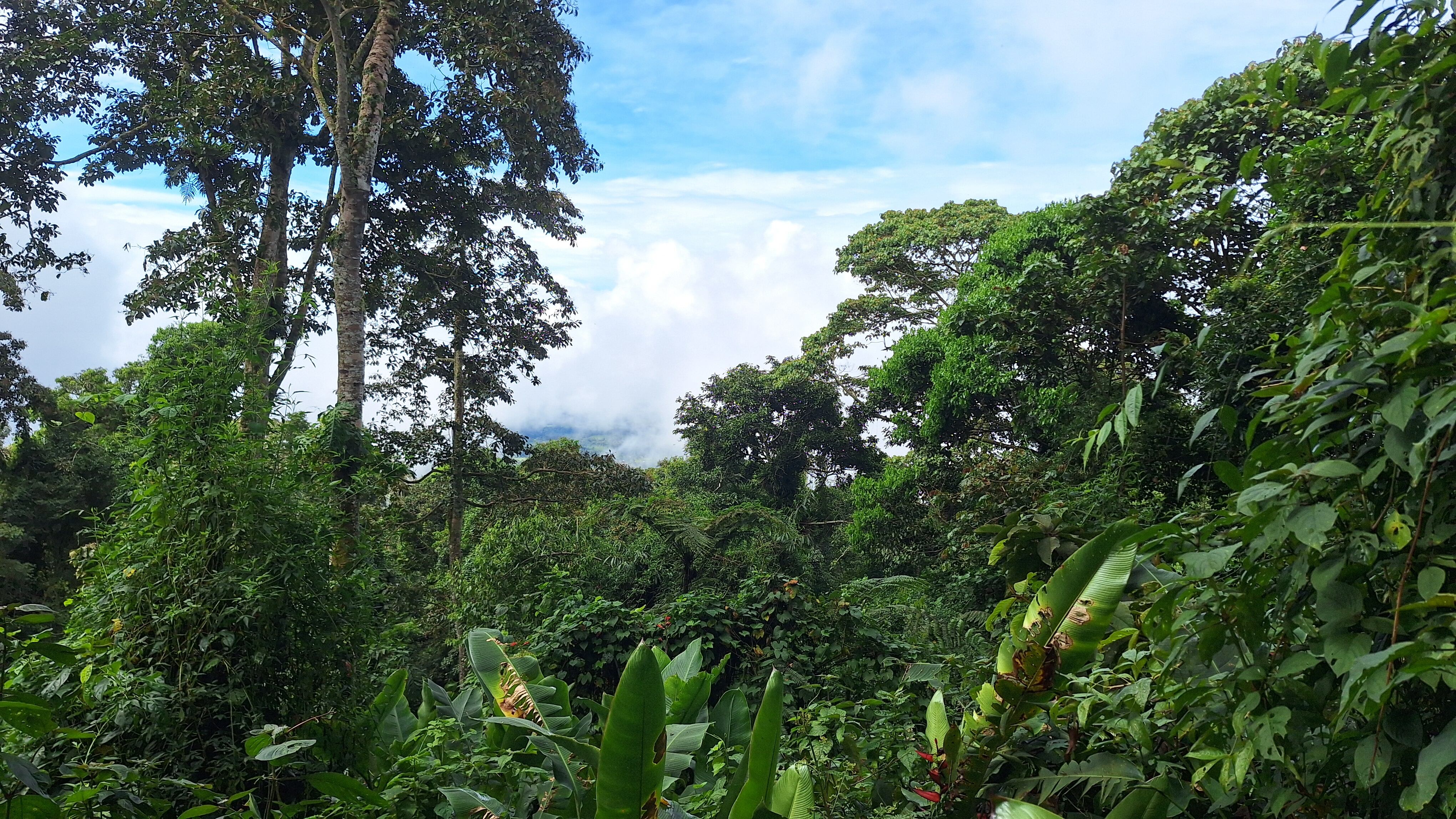 Panorámica del PILA.