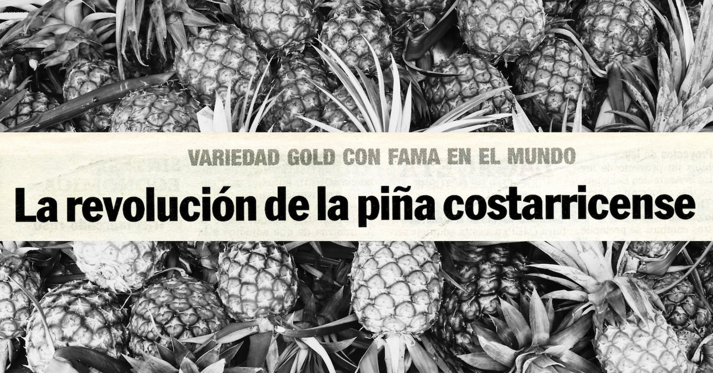 El ascenso dorado: cómo Costa Rica se convirtió en el principal ...