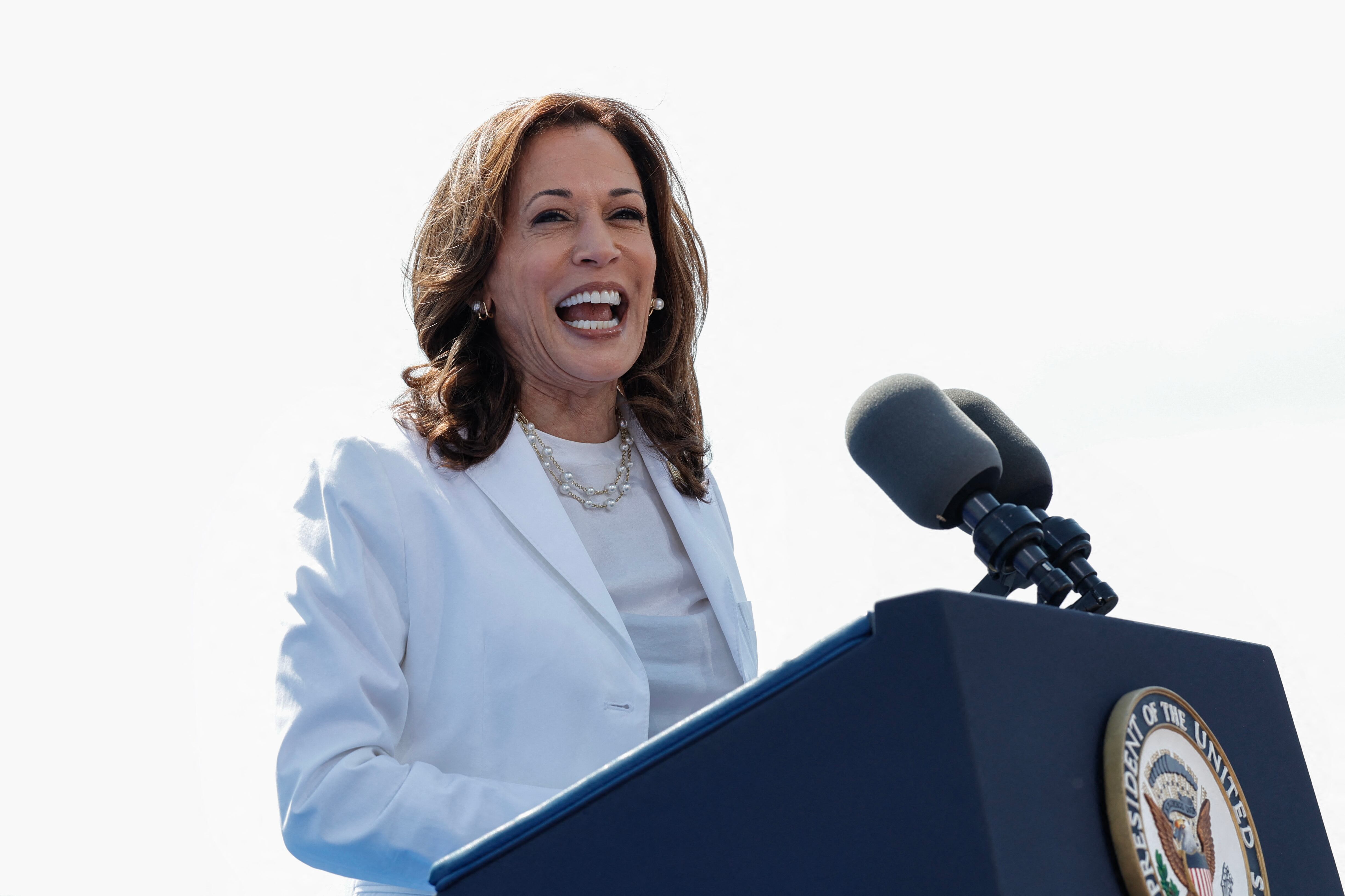 Kamala Harris está llevando su campaña presidencial por estados clave, con el objetivo de formar una coalición con indecisos, independientes y republicanos descontentos con Donald Trump.