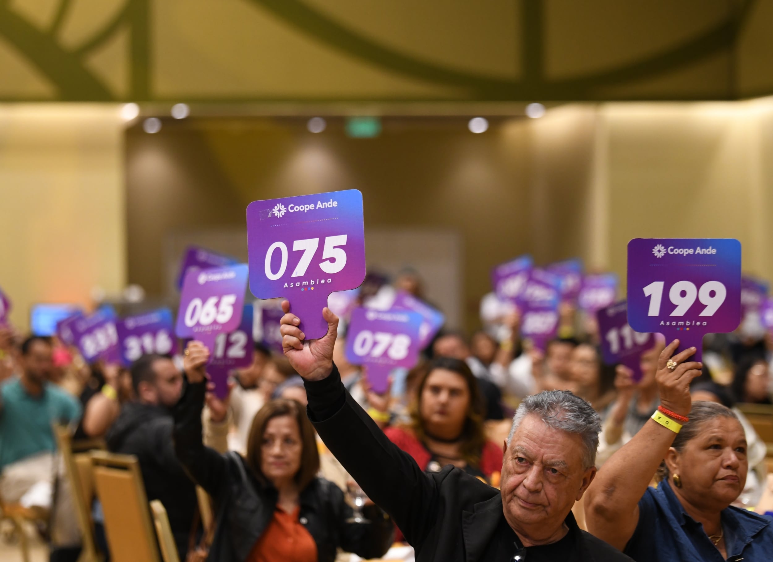 Asamblea de delegados de CoopeAnde votó a favor de que la entidad fuera absorbida por Coopenae.