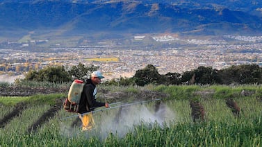 ¿Ya vio cuánto fertilizante se utiliza en los principales cultivos y alimentos que usted consume en Costa Rica?