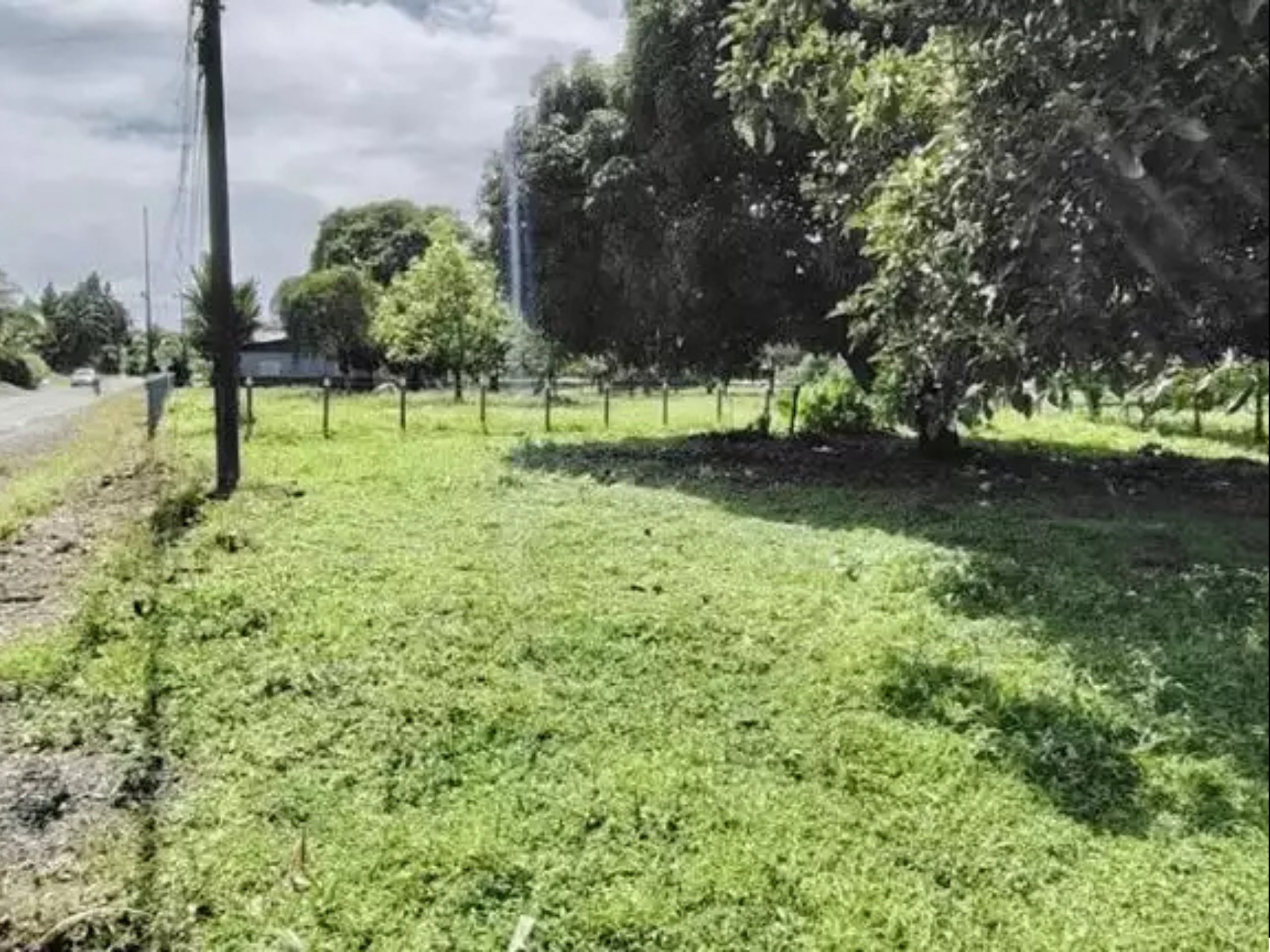 Lote en Guácimo, Limón (Calle Seis - Residencial)
