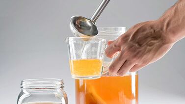 Alimentos fermentados como aliados a tu salud digestiva