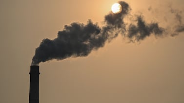 Estados Unidos, Europa y China deben acelerar su carbono-neutralidad, advierte la AIE