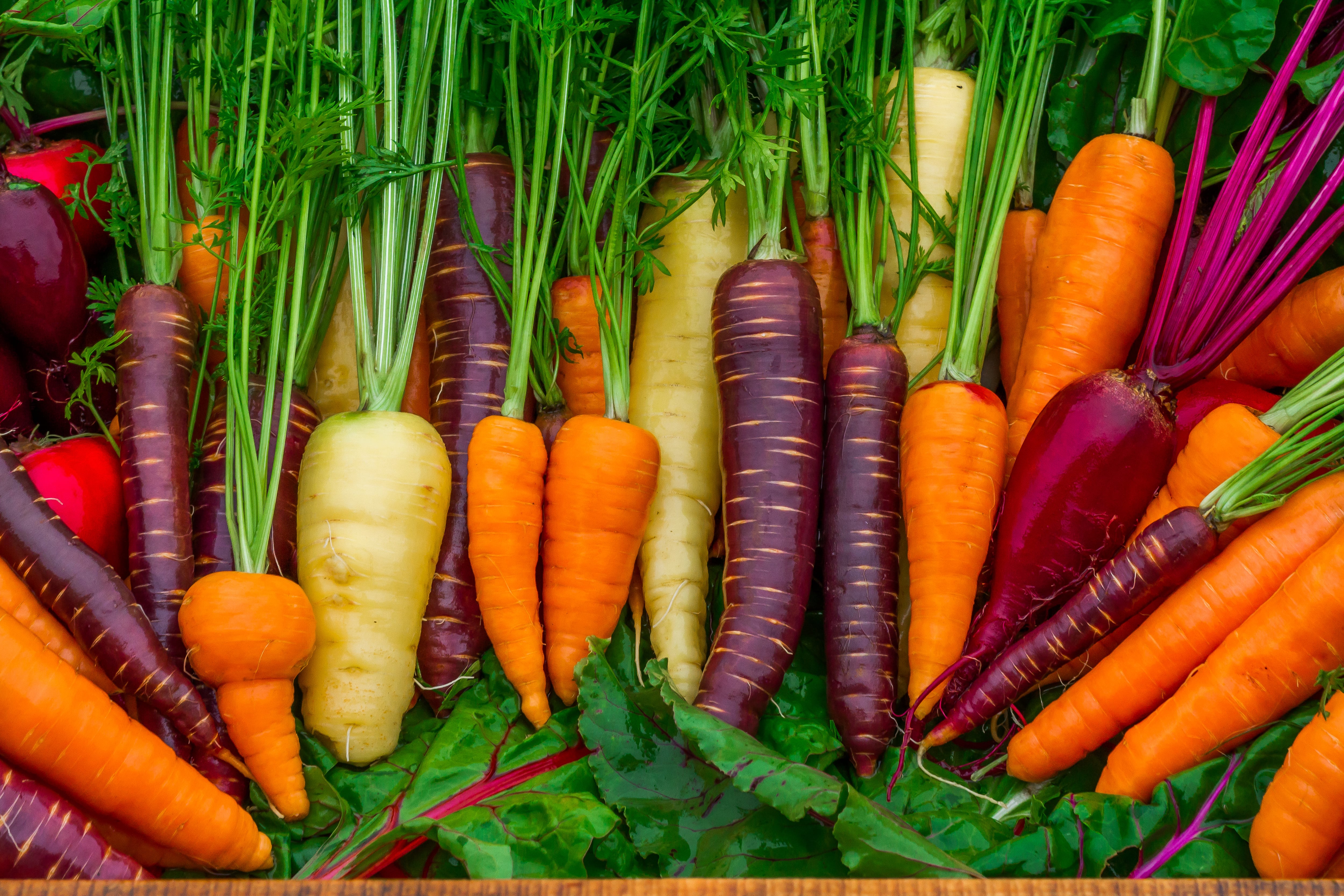 vegetales orgánicos Perfil