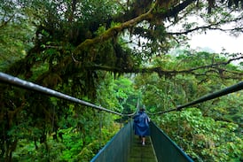 La inversión más estratégica del siglo XXI: restaurar la ecosfera terrestre