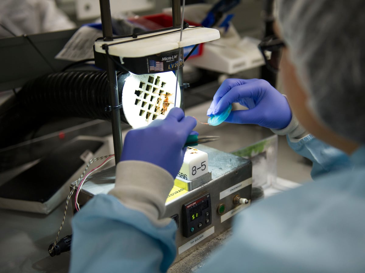 Exportaciones de Costa Rica resisten aumento de aranceles mientras la inversión extranjera cae