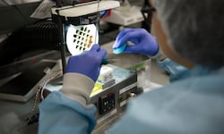 Entre aranceles e inversiones cautelosas, el 2025 fue un año de reacomodo para el comercio exterior