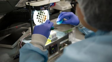 Datos de Procomer evidencian economía de dos velocidades en Costa Rica: sector de equipo médico crece 31% mientras el agro se estanca con un 1%