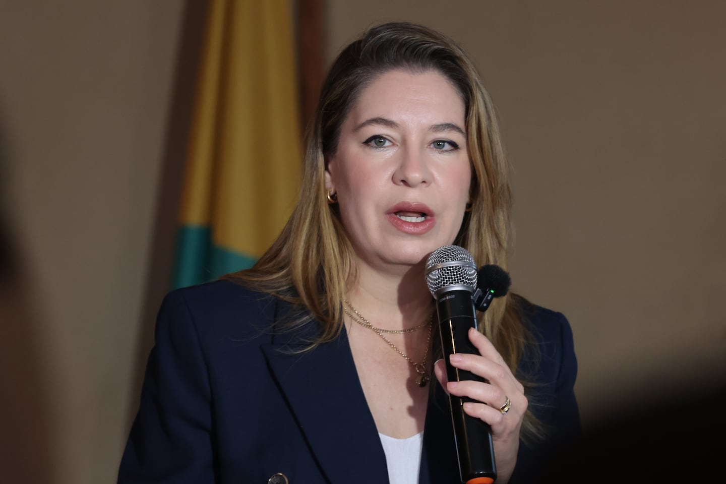 Claudia Dobles, diputada electa: “Seremos vigilantes de que las propuestas que se manejan desde el oficialismo no minen los balances democráticos”