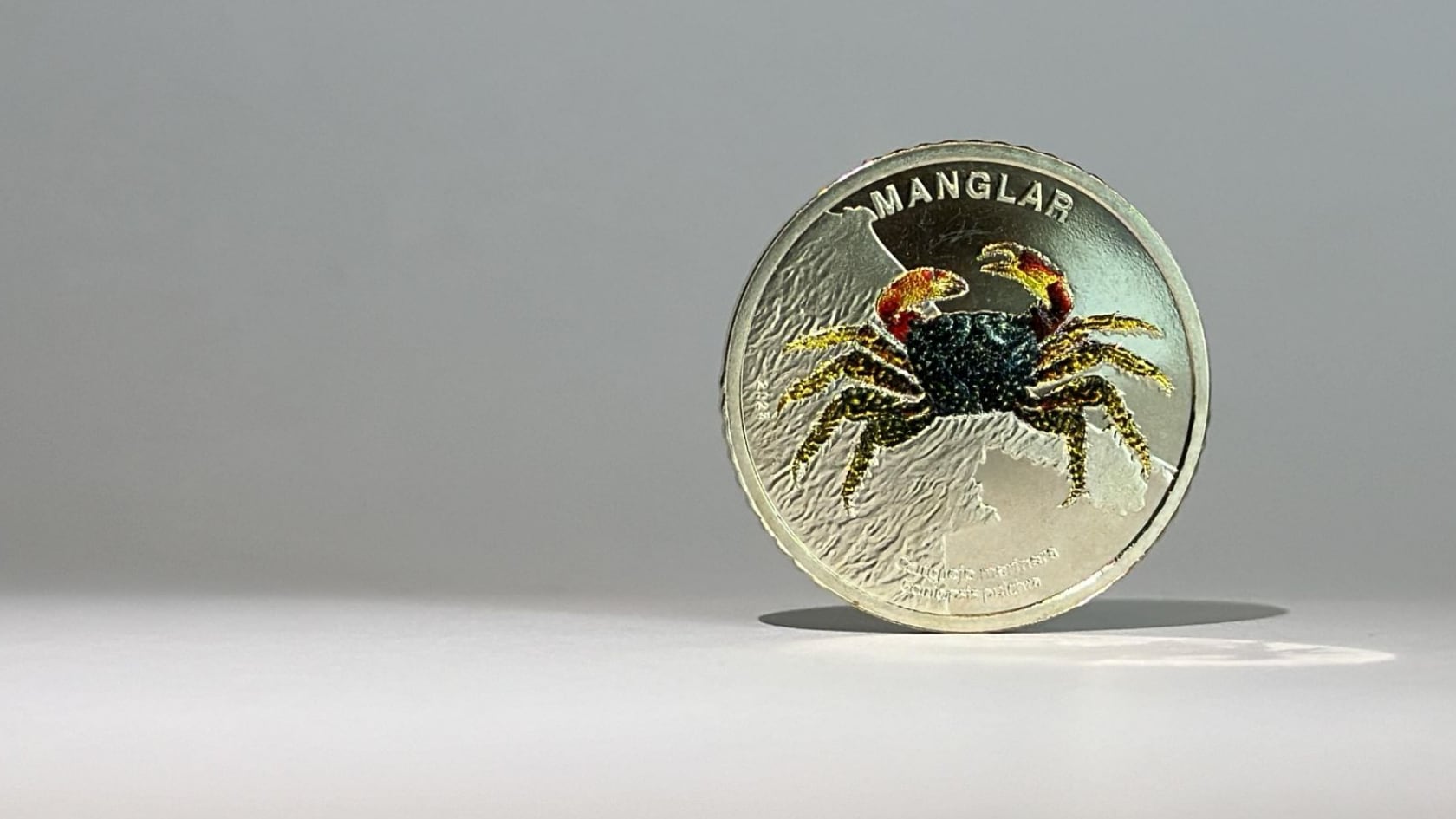 La nueva moneda coleccionable de ¢50, dedicada al cangrejo marinera, se venderá desde el 22 de octubre en bancos seleccionados.