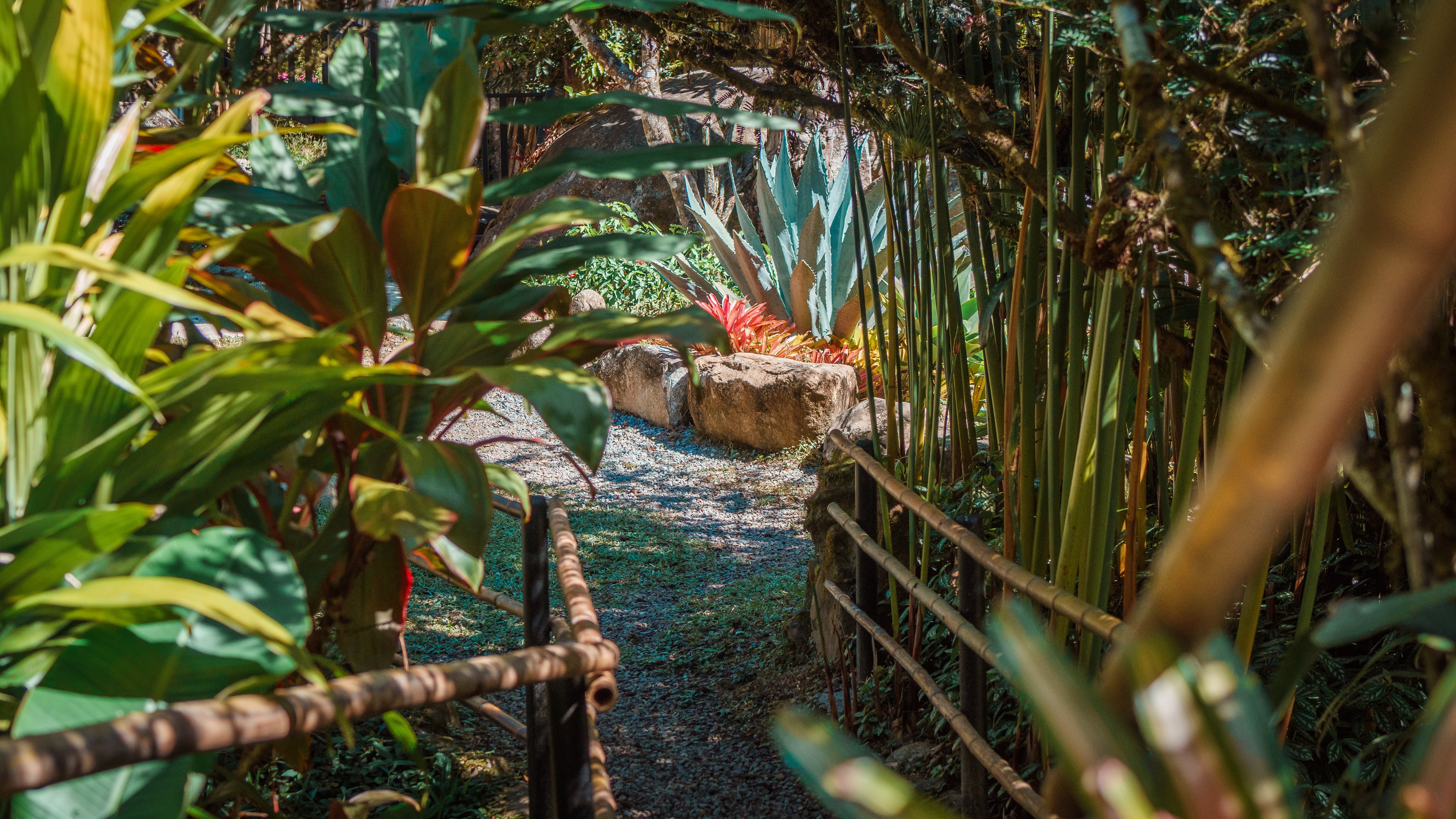 Jardines Secretos, emprendimiento, Pérez Zeledón