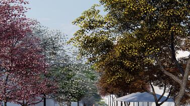 San José tendrá 600 metros más de bulevar en la Avenida Central