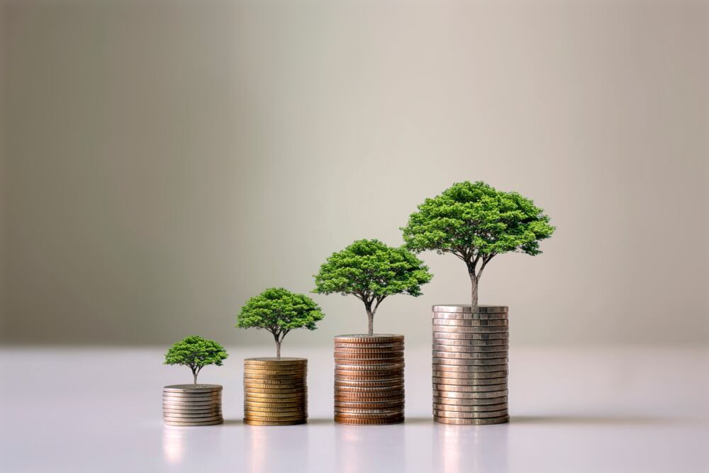 Showing,Financial,Developments,And,Business,Growth,With,A,Growing,Tree, gerencia ef, gerencia_ef, economía verde