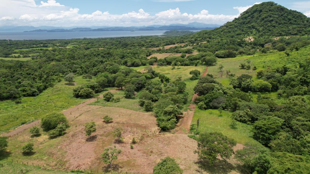 Terraquintas