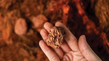 Precio del cobre superó los $10.000 en Londres por temor a nuevos aranceles sobre el metal rojo