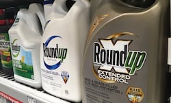 Retractan estudio clave sobre seguridad del glifosato por conflicto de interés con Monsanto