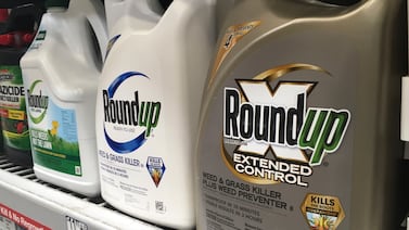 Retractan estudio clave sobre seguridad del glifosato por conflicto de interés con Monsanto