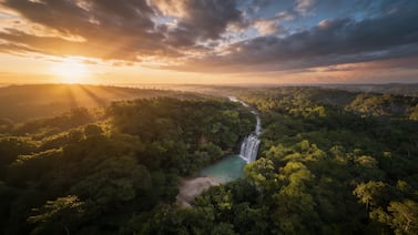 ¿Están vendiendo lotes?