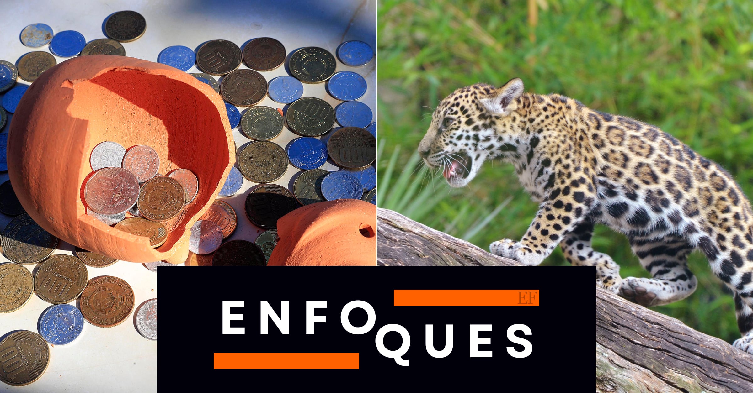 Columna Enfoques | Lo que no dice el Banco Central: el jaguar está renqueando, por Fernando Naranjo