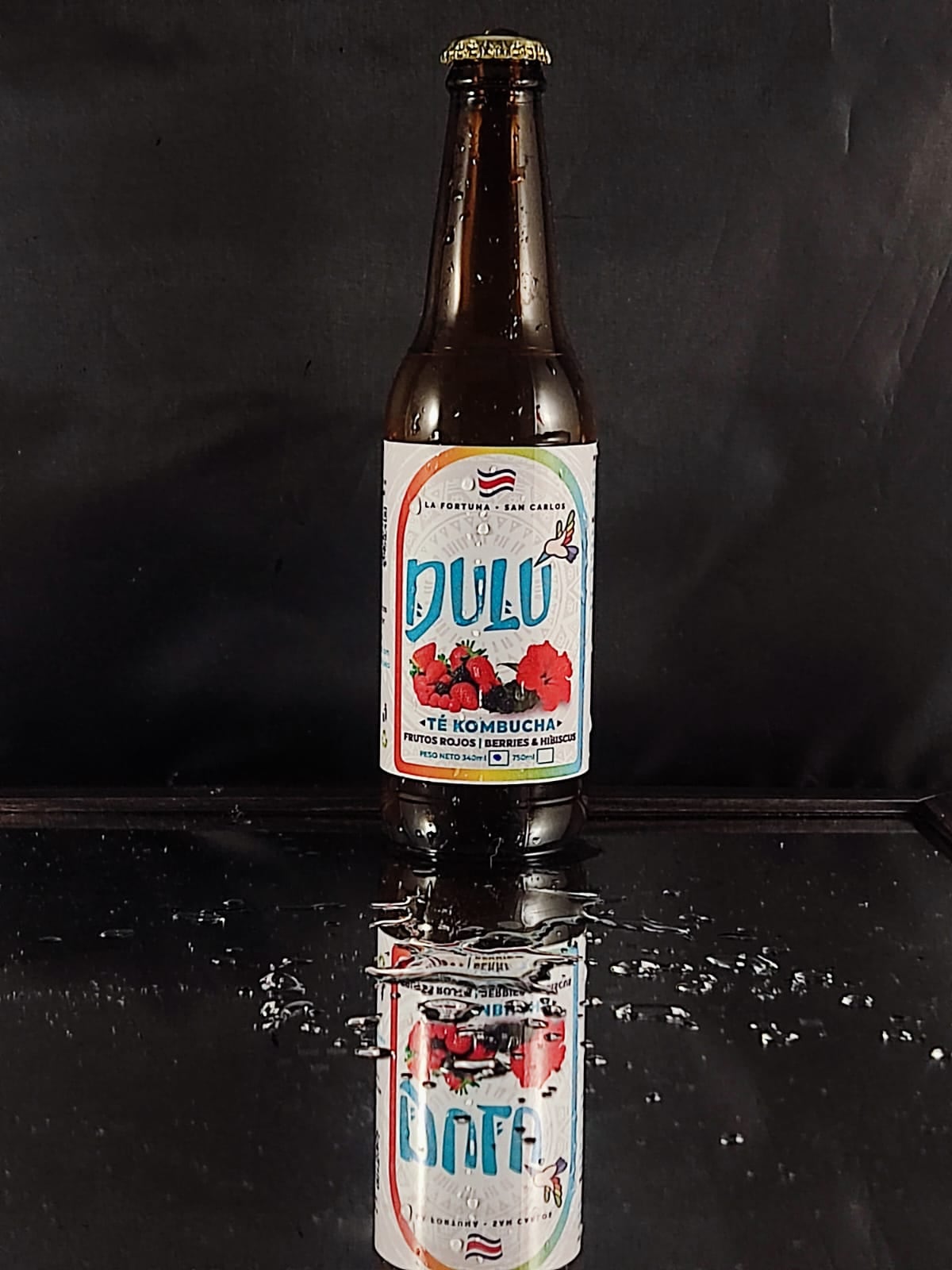 Dulu, kombucha, bebida, emprendimiento, pyme, La Fortuna