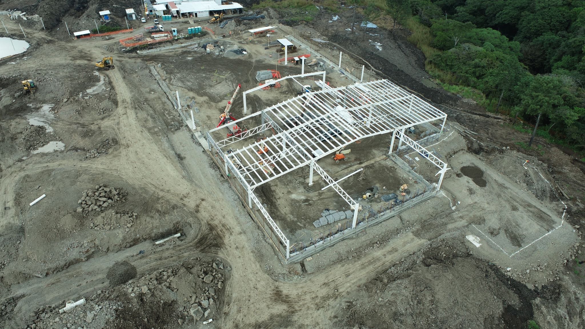 Nuevo Walmart