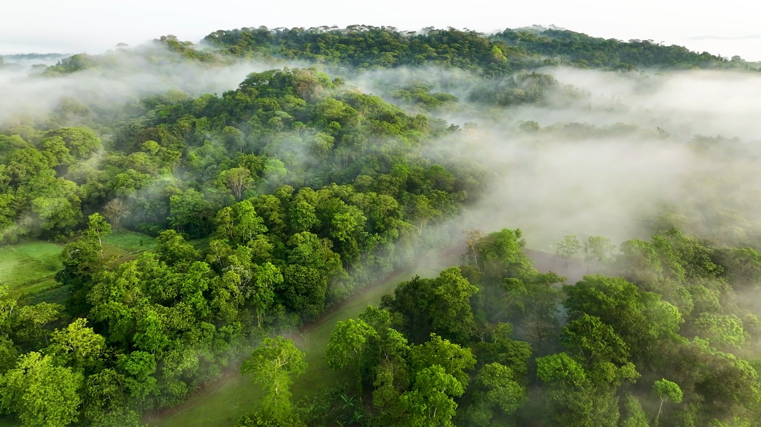 Proyecto EcoVida en Sarapiquí