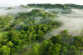 Canje de deuda por naturaleza: una inversión en el futuro de Costa Rica